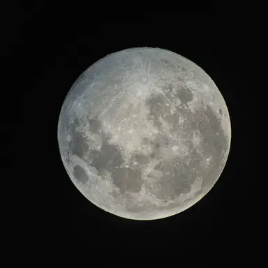 Profile image of 달