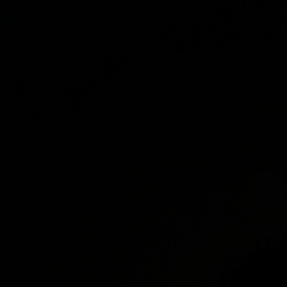 김동현