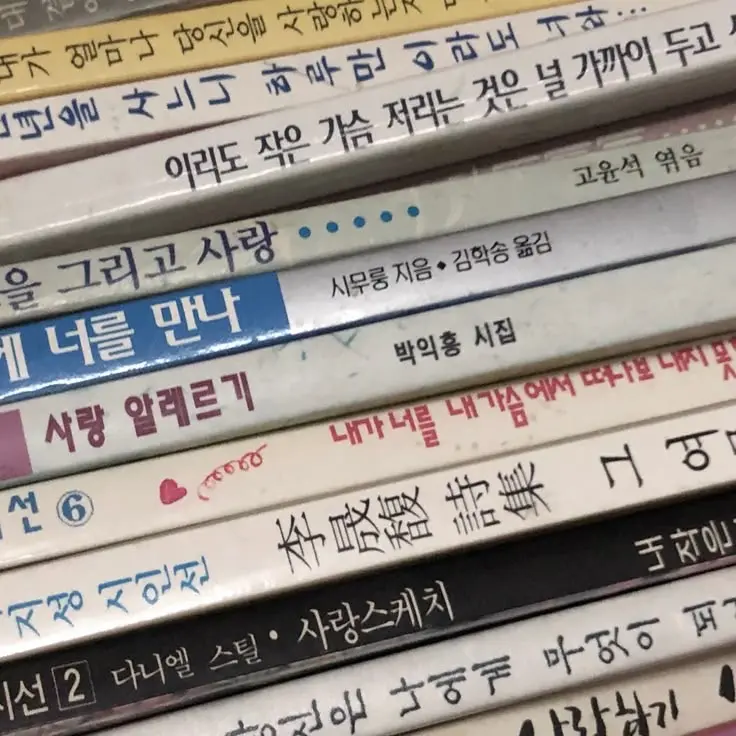 coochan의 恋