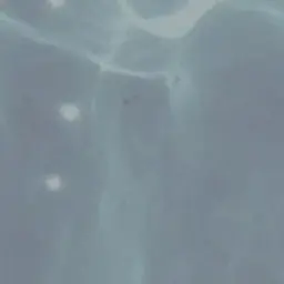 Profile image of 코토네 사키