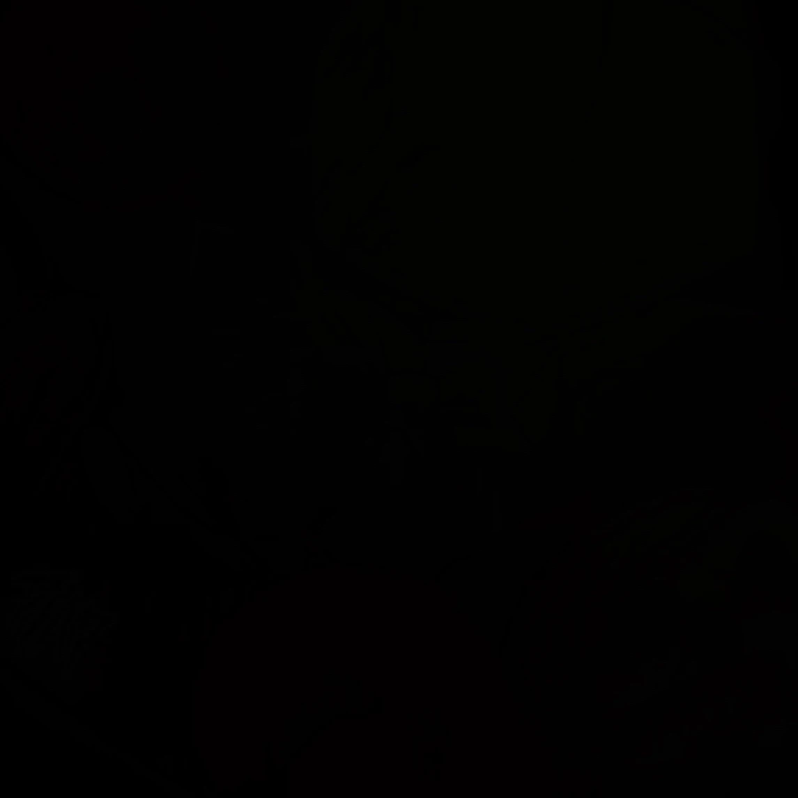 파피
