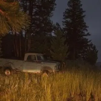 Profile image of Dale