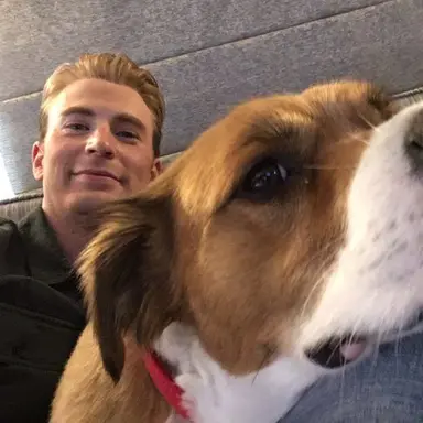 Profile image of Chris Evans