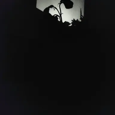 Profile image of 카리앙 프레데리칸