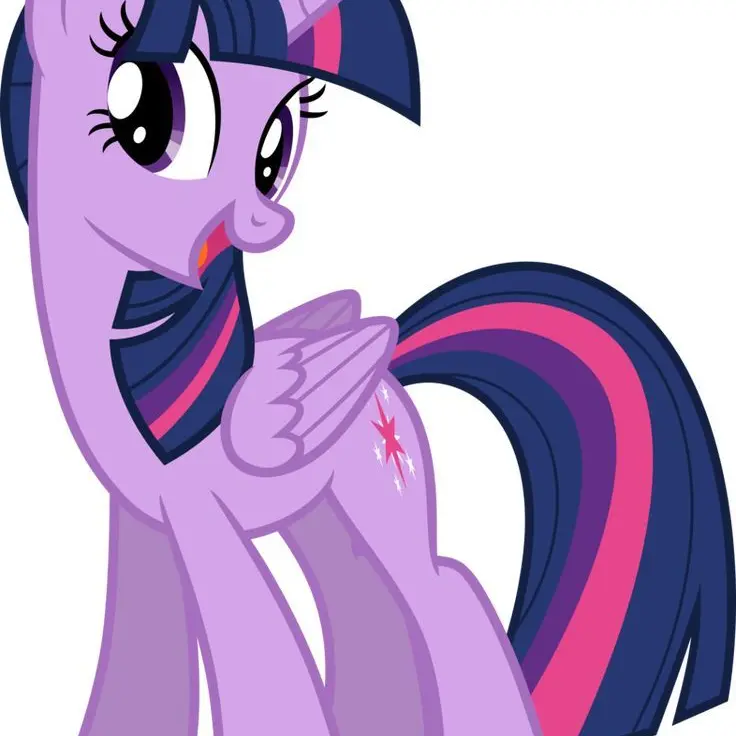 GaudyDorgi6486의 포니