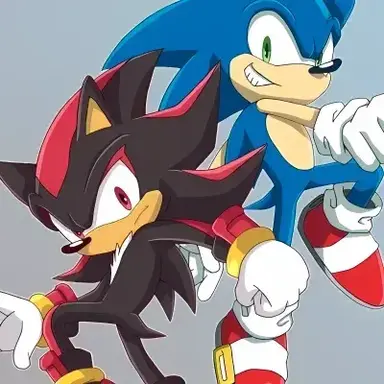 Profile image of Sonic and Shadow