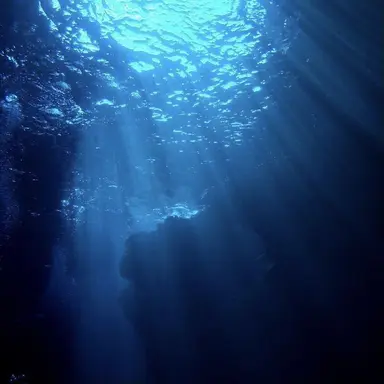 Profile image of 최우제