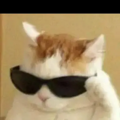 Profile image of ㅂㅅㅎ