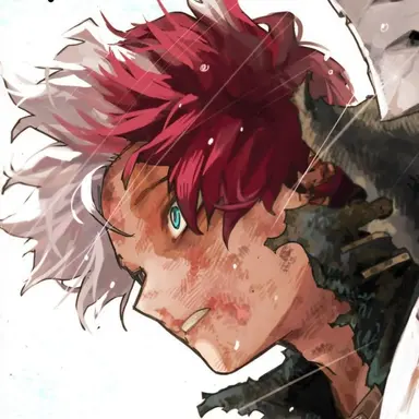 Profile image of Todoroki