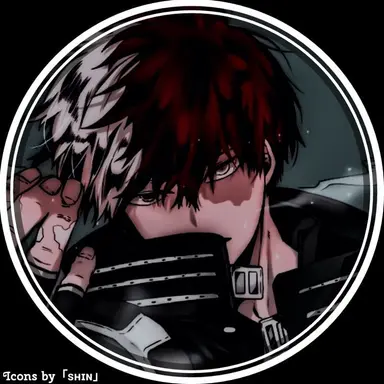 Profile image of Todoroki