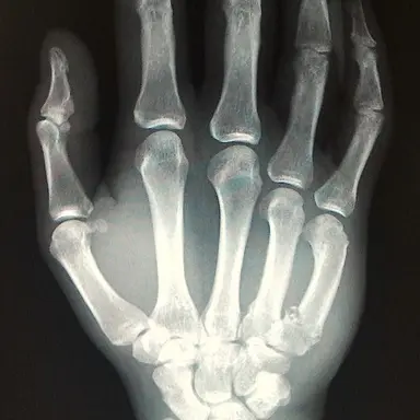 Profile image of 히비노 카프카