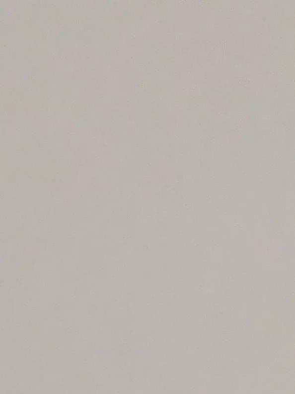 DampEmber8560의 愛されたいよな