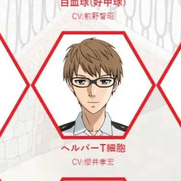 Profile image of ヘルパーT細胞