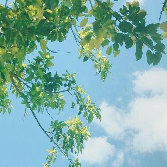 명재현