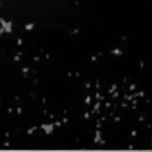 Profile image of 괴물들