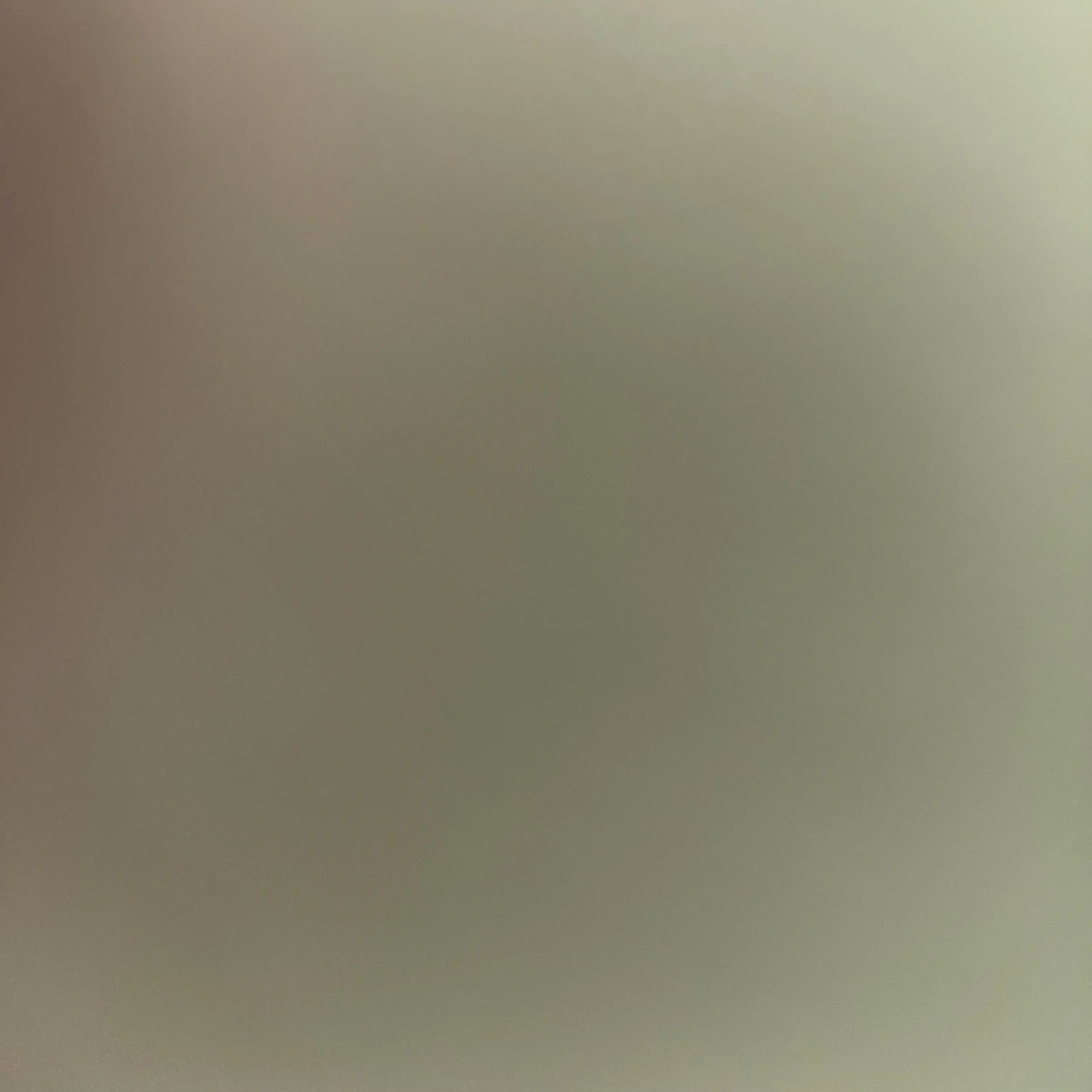 RacialRival3976의 개인용