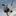 F-35