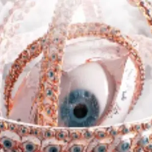 Profile image of 오파님