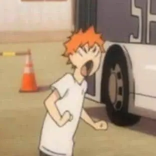 Profile image of Hinata Shoyo