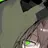 ゾム