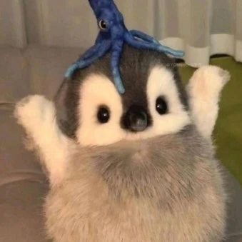 뿌띠
