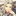 なぎさ
