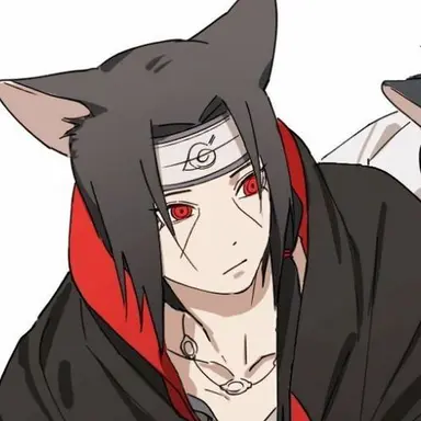 Profile image of イタチ