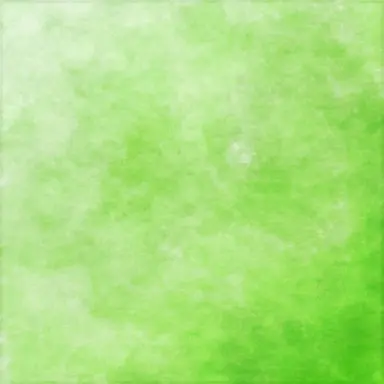 Profile image of Rai Inami