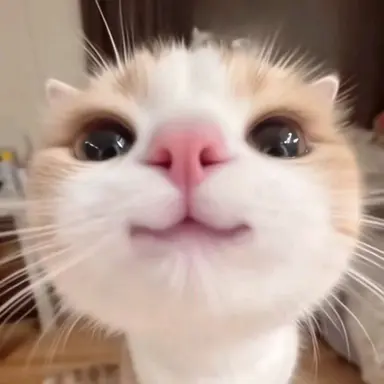 Profile image of 미루