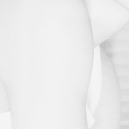 정지후 대표 이미지