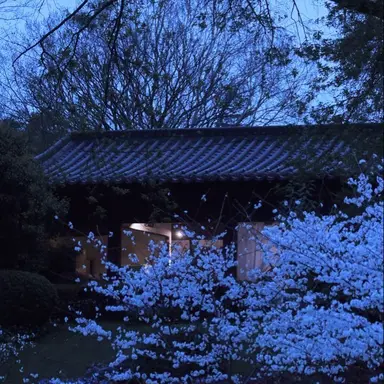 Profile image of 파이브