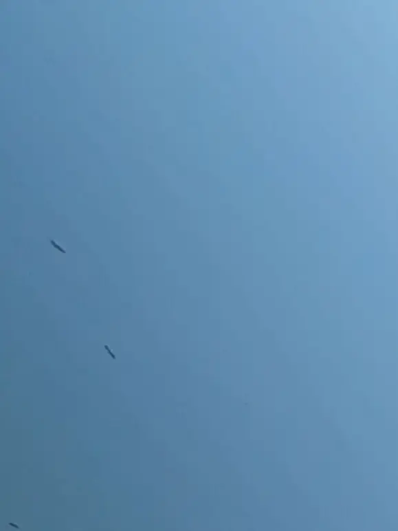 RaspyLinen8671의 ？？？(カオス)