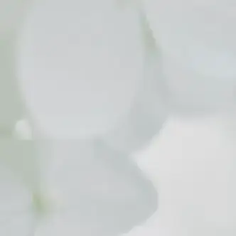 Profile image of MILK