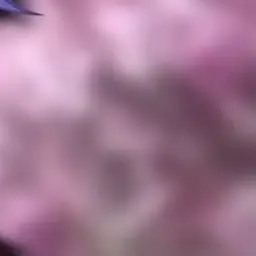Profile image of 또니