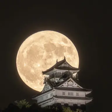 Profile image of 石岡