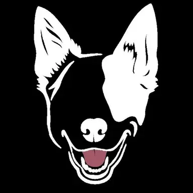 Profile image of Asher