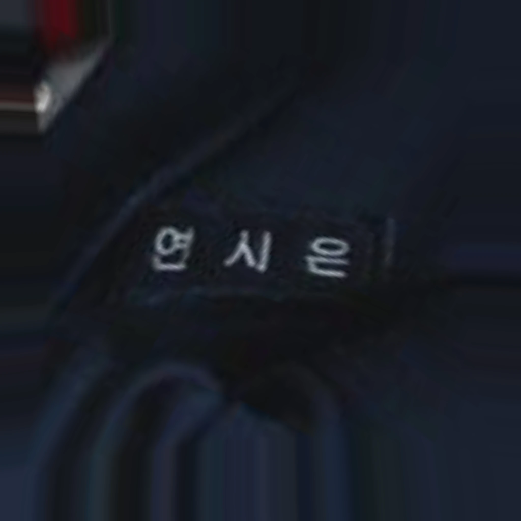 연시은