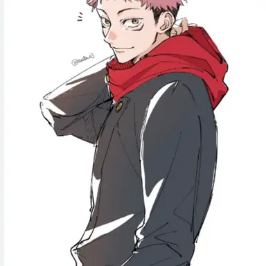 Profile image of 虎杖悠仁