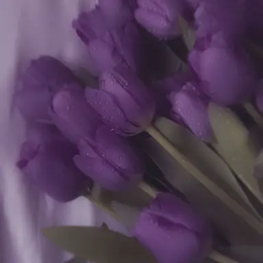 Profile image of ソ・チャンビン