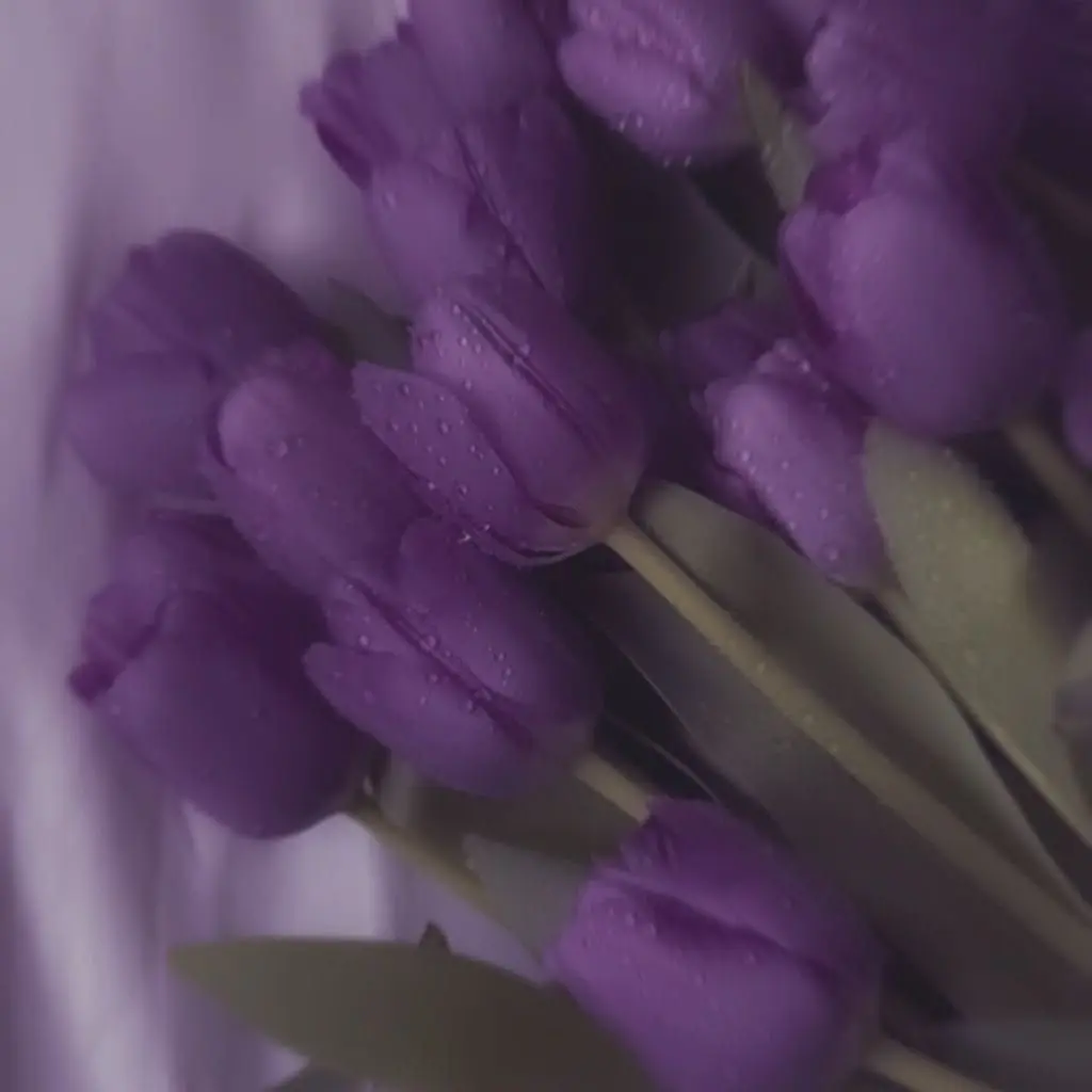 cha_wex의 Sorry, I Love You