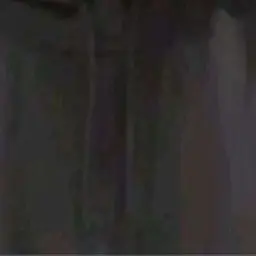 Profile image of 양정인