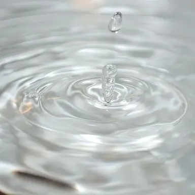 Profile image of 김희안