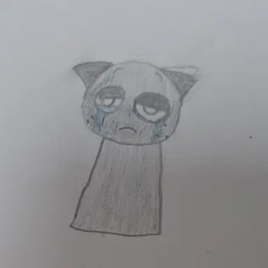 Profile image of 그레이