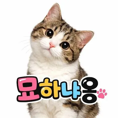 Profile image of 묘하냐옹