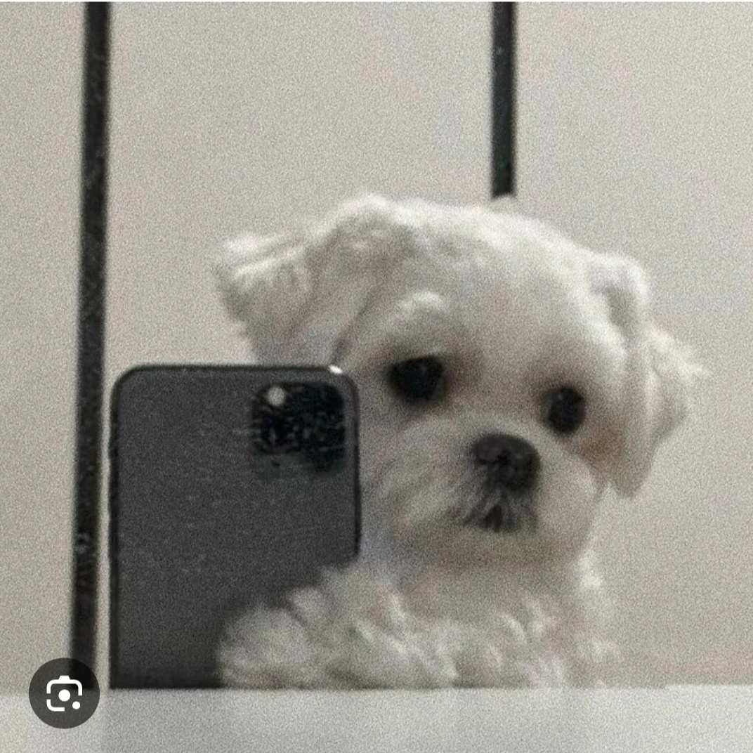 에이미 으뜸