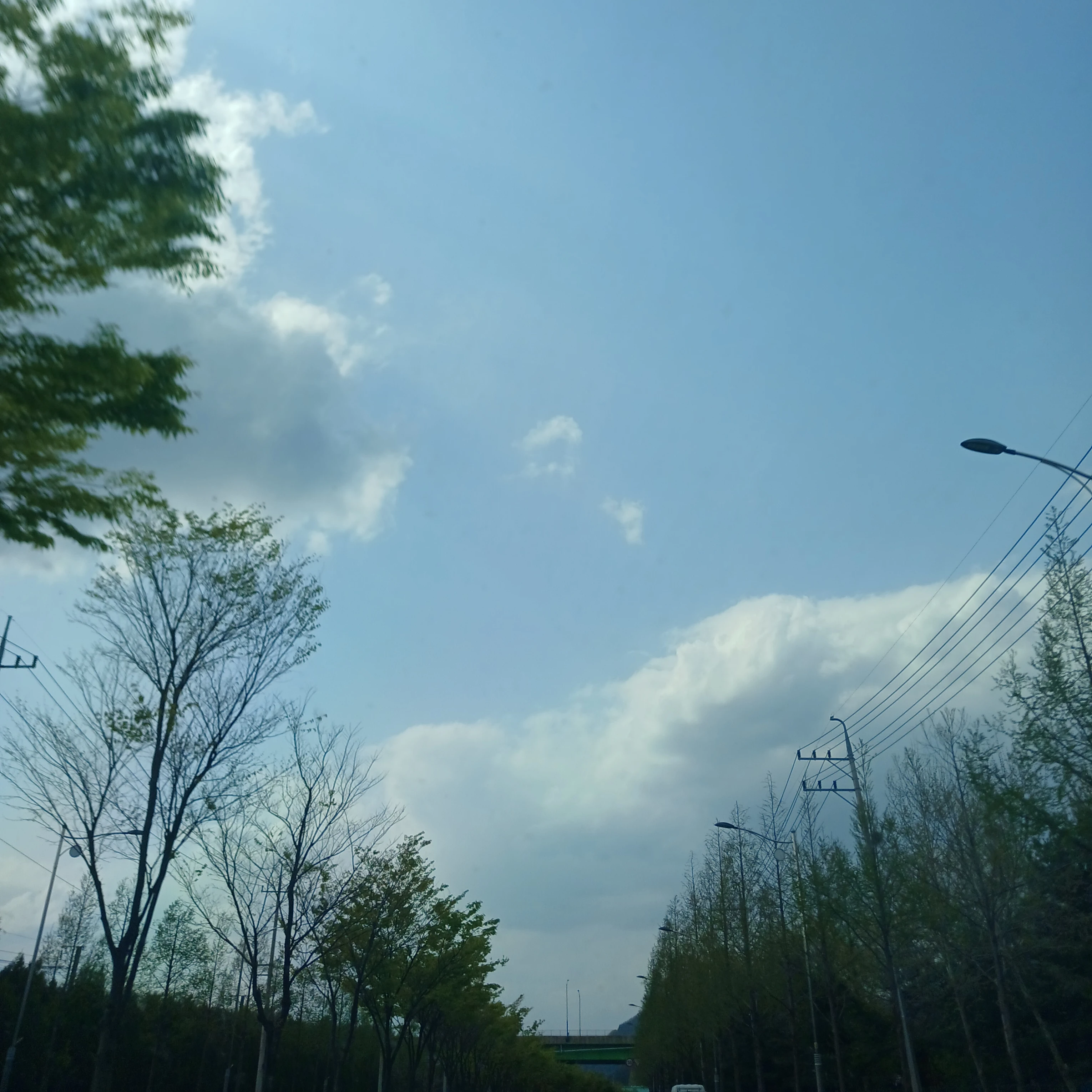 감제이