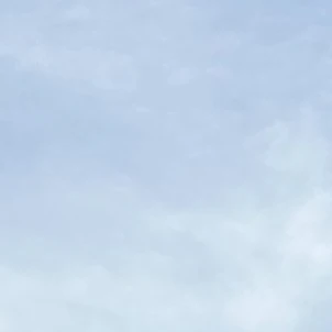 앵보