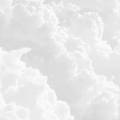 Profile image of ねま