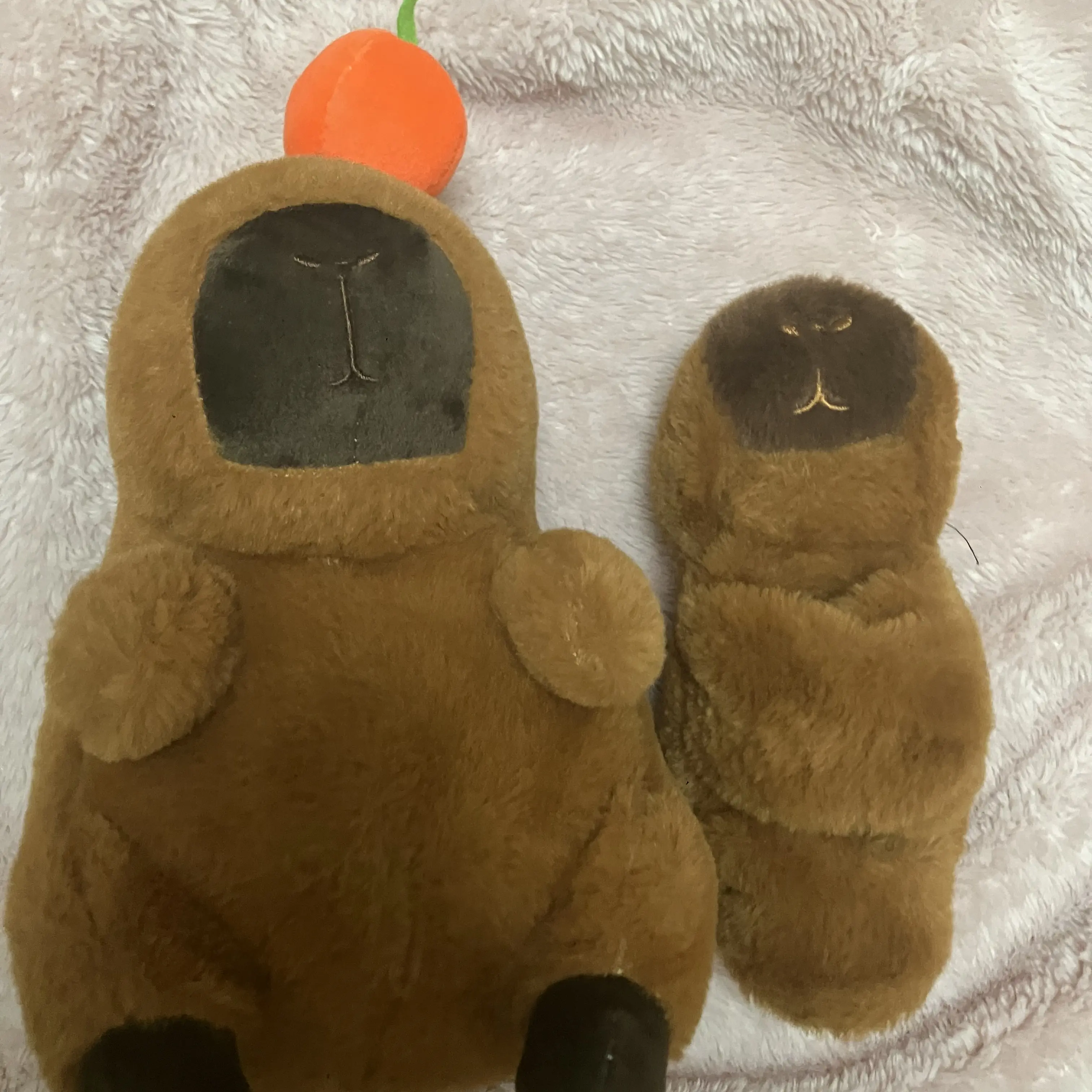 8010의 당신을 짝사랑하는평학