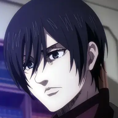 Profile image of ミカサ